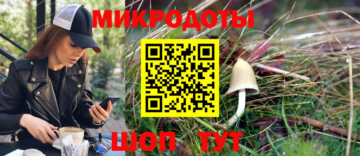 Галлюциногенные грибы MAGIC MUSHROOMS  даркнет сайт  Каменск-Шахтинский  Вход с VPN 